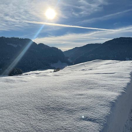 Hotel Garni Oberdorfer Stuben Obermaiselstein Buitenkant foto