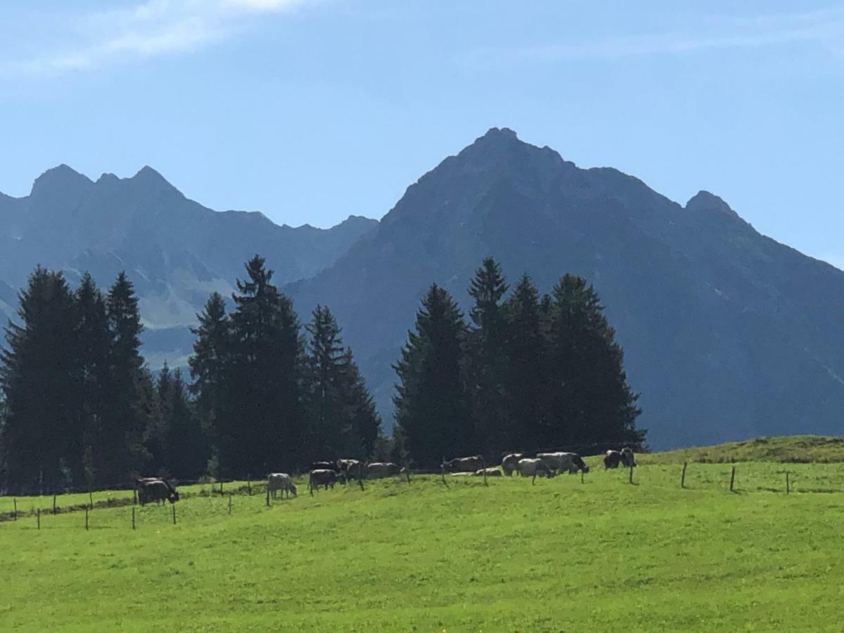 Hotel Garni Oberdorfer Stuben Obermaiselstein Buitenkant foto